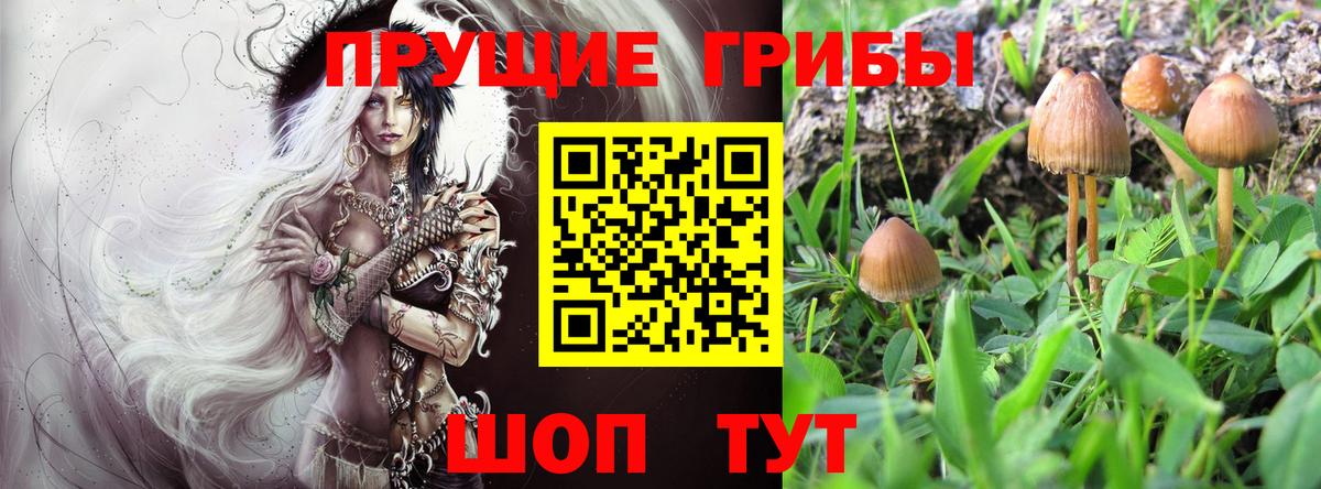 даркнет сайт  Вход с VPN  Галлюциногенные грибы GOLDEN TEACHER  Канаш  Галлюциногенные грибы GOLDEN TEACHER 